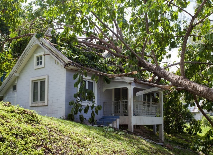 Roof-Damage-from-falling-tree